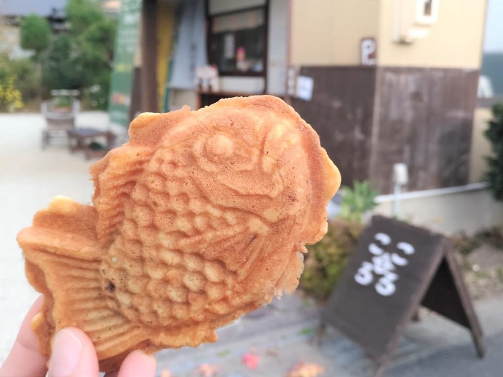 ころころ3