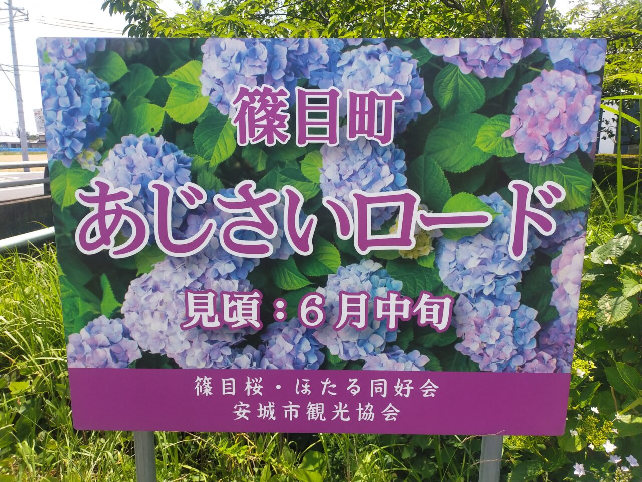あじさいロードの看板