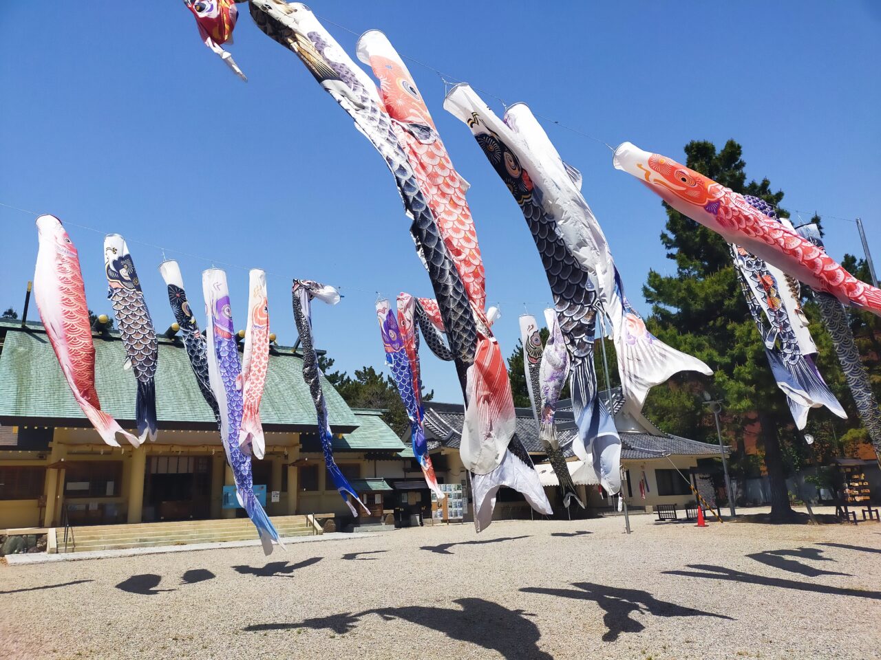 中山神明社のこいのぼり